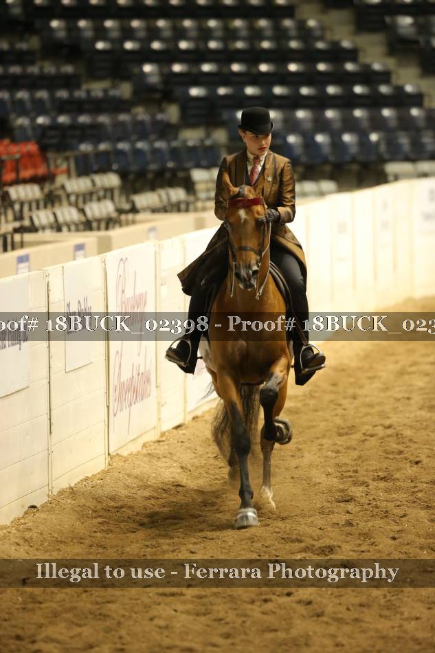 Proof 18BUCK_02398