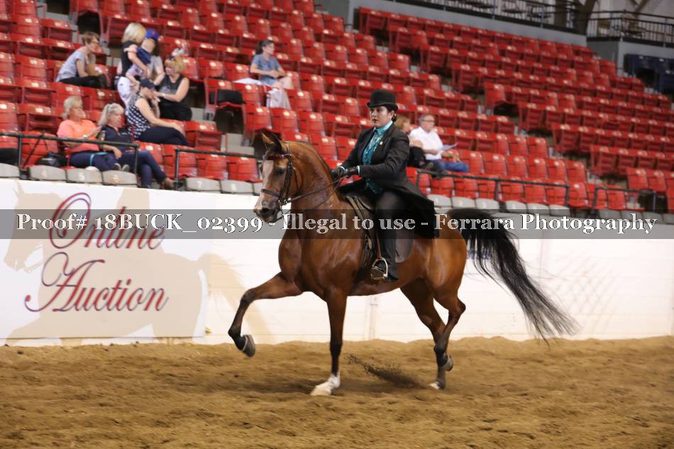 Proof 18BUCK_02399