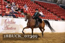 18BUCK_02399 proof