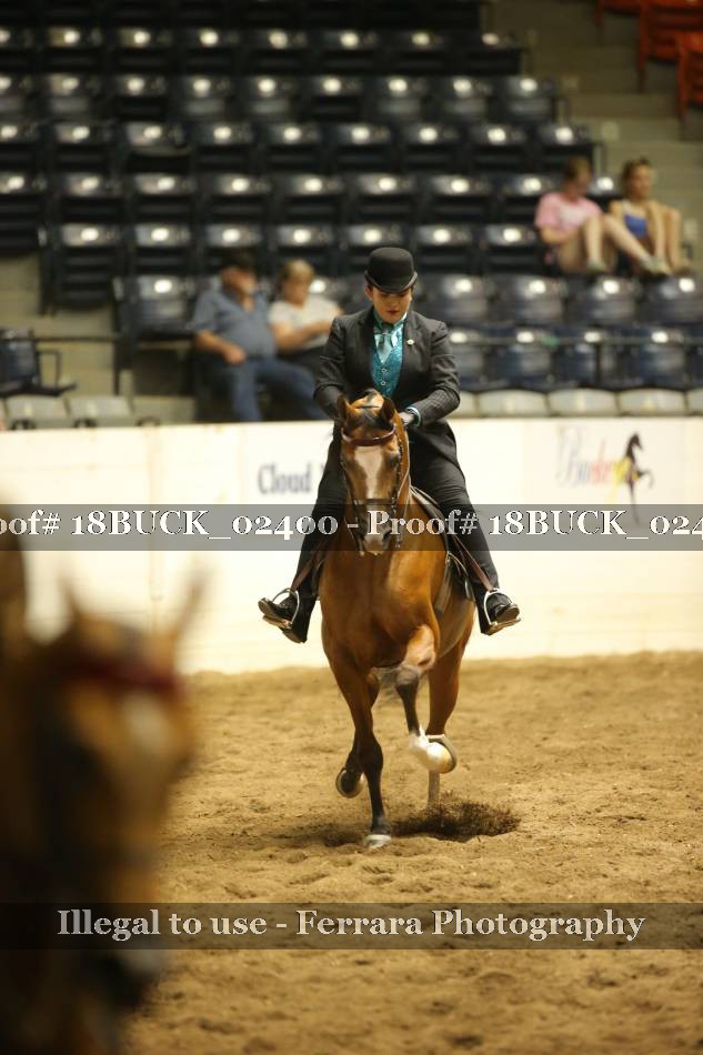Proof 18BUCK_02400