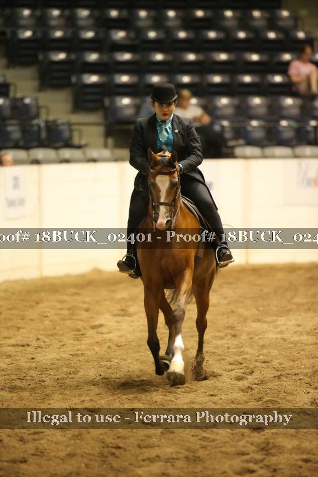 Proof 18BUCK_02401