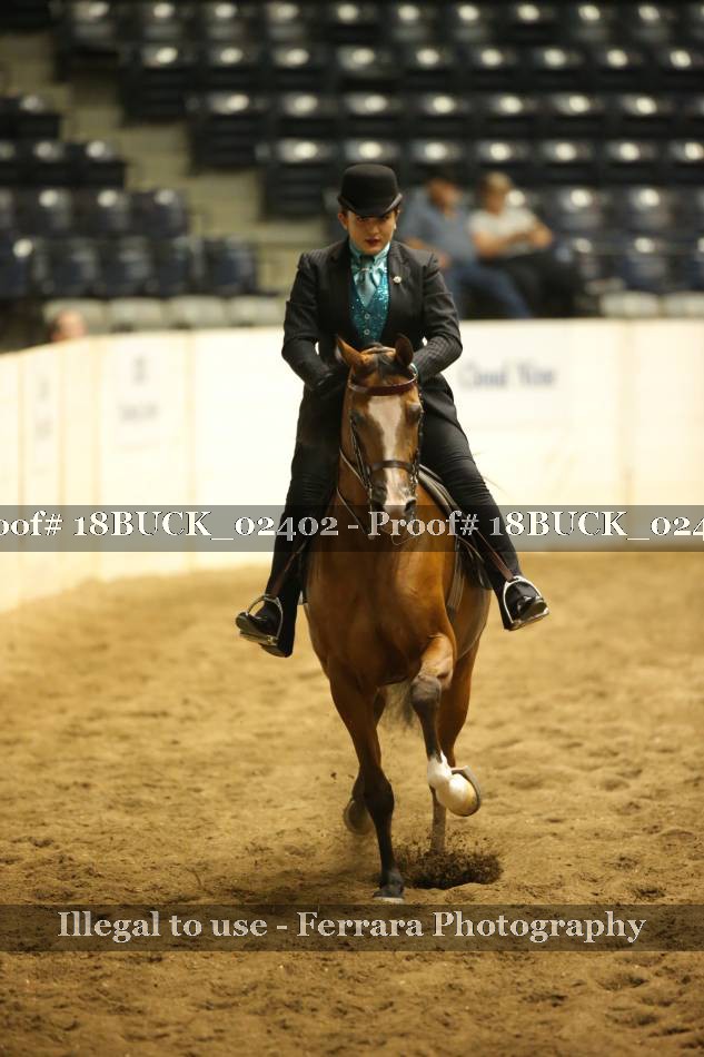 Proof 18BUCK_02402