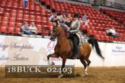 18BUCK_02403 proof