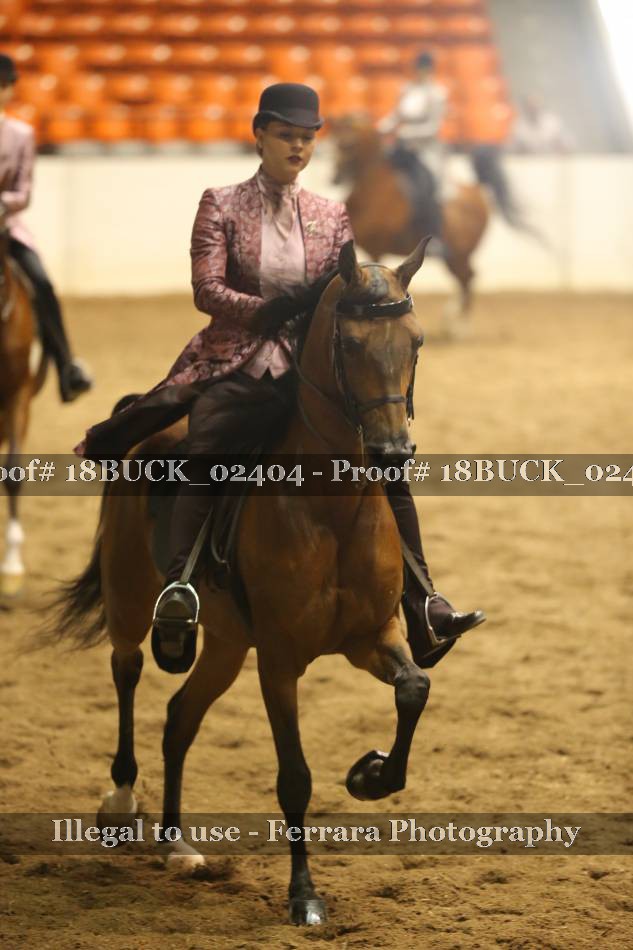 Proof 18BUCK_02404