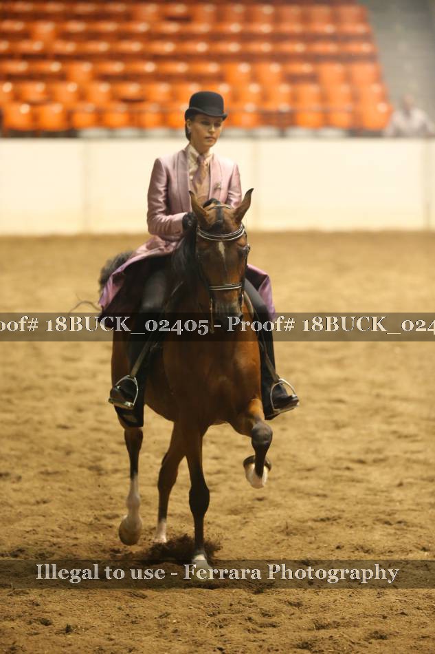 Proof 18BUCK_02405