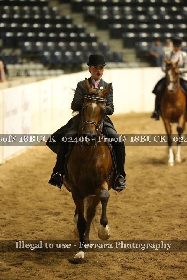 Proof 18BUCK_02406