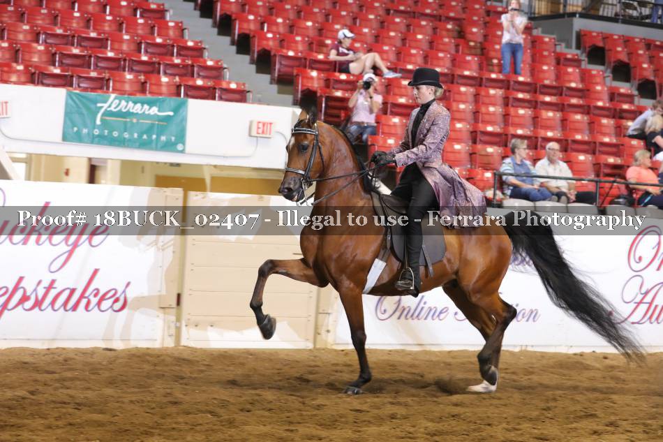 Proof 18BUCK_02407