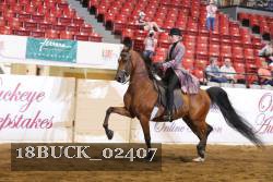 18BUCK_02407 proof