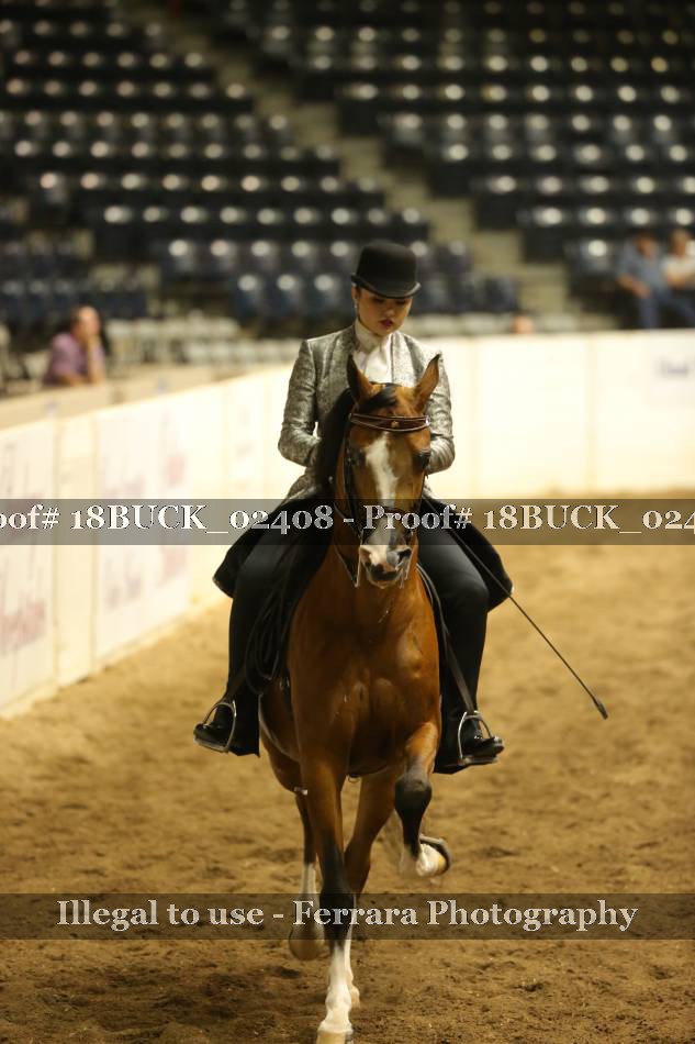 Proof 18BUCK_02408