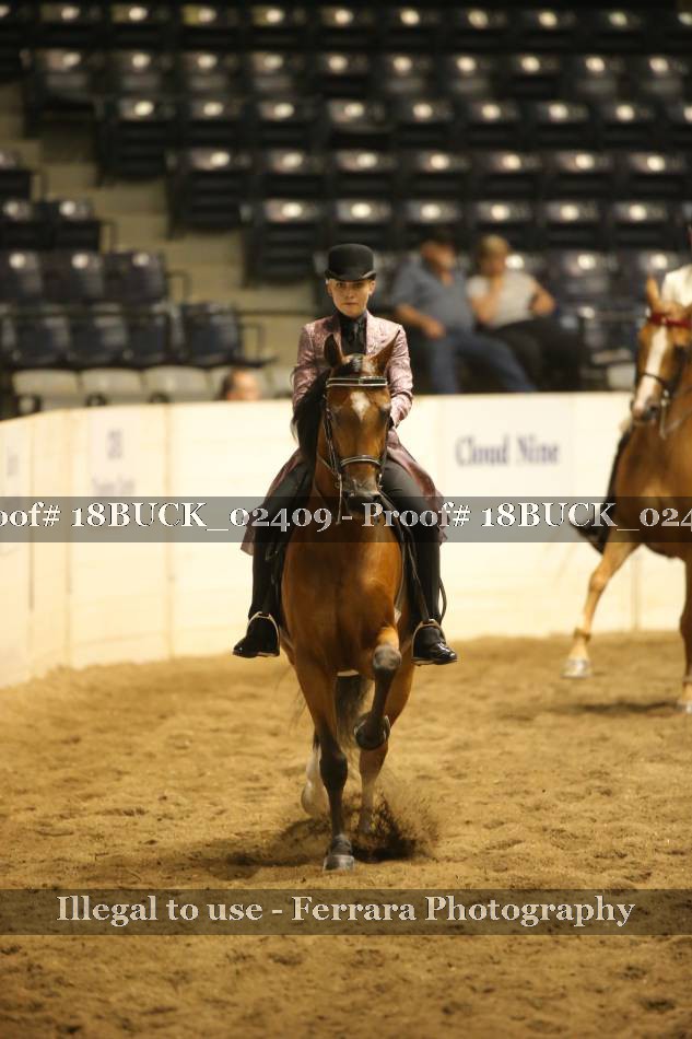 Proof 18BUCK_02409