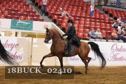 18BUCK_02410 proof
