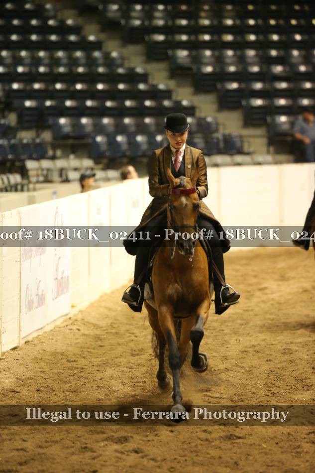 Proof 18BUCK_02411
