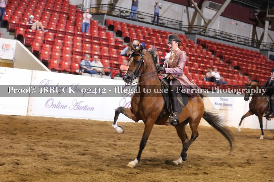 Proof 18BUCK_02412