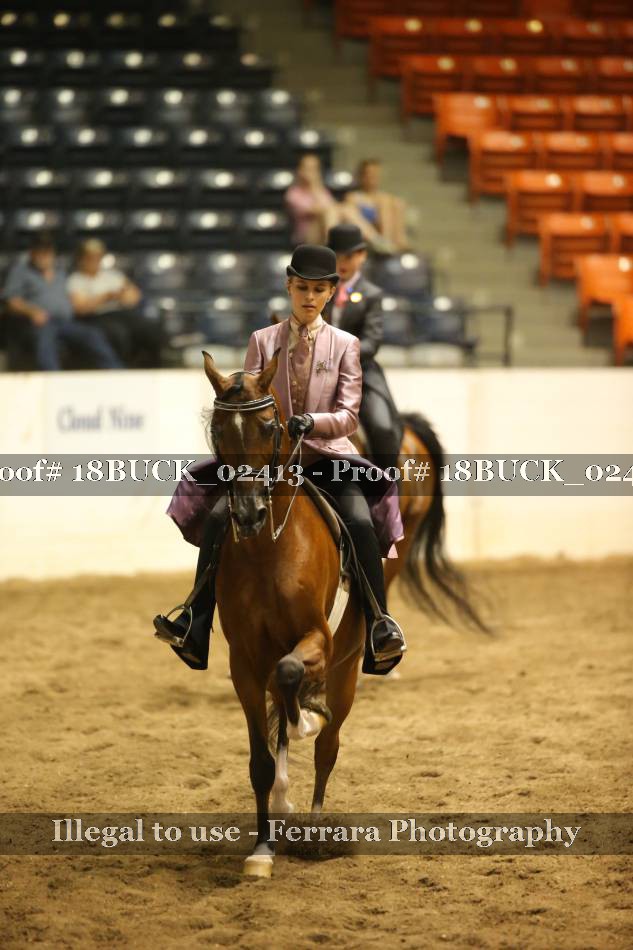 Proof 18BUCK_02413