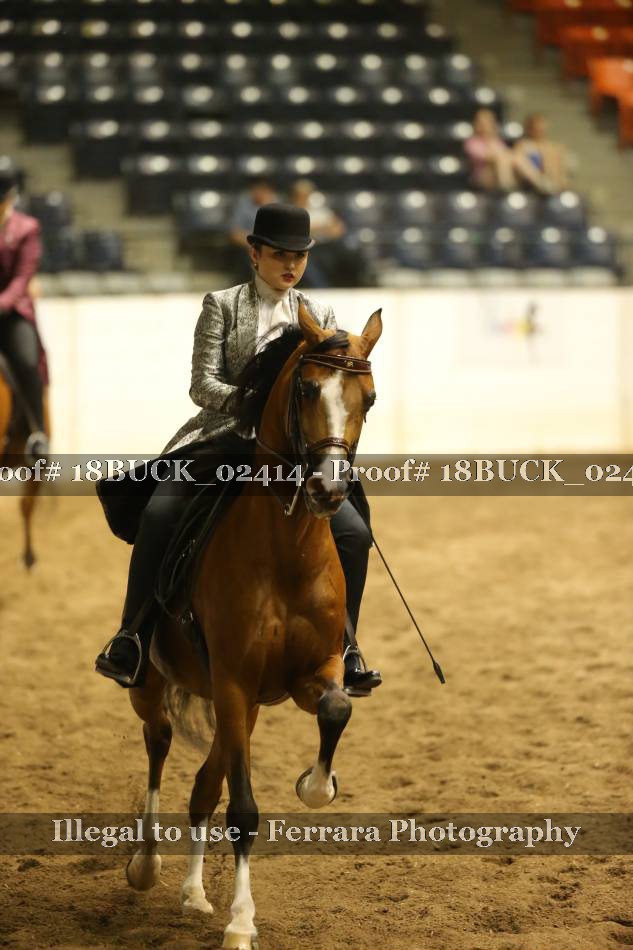 Proof 18BUCK_02414