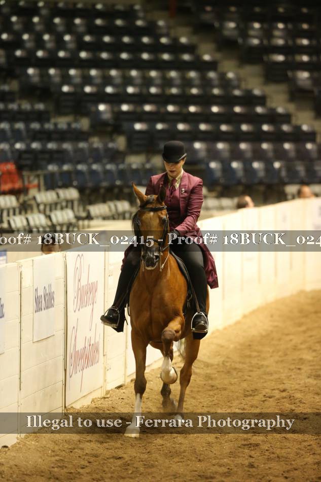 Proof 18BUCK_02415