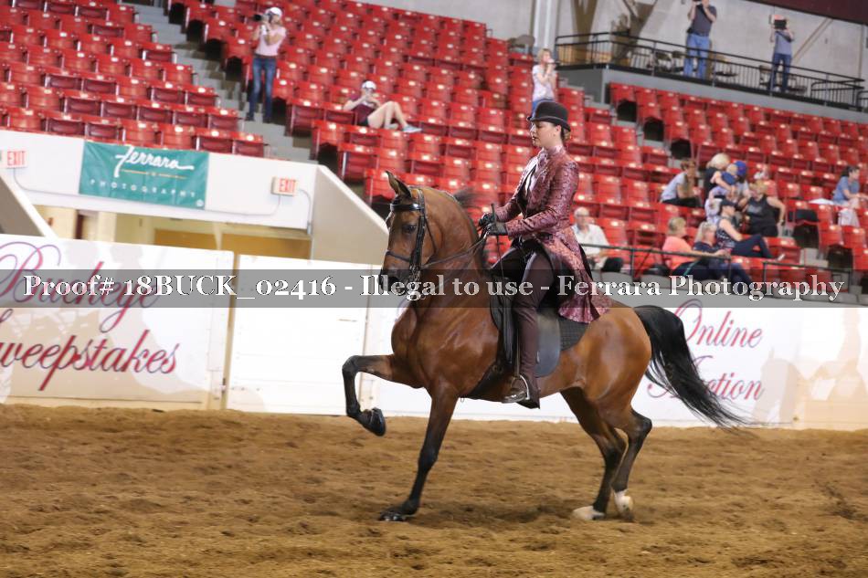 Proof 18BUCK_02416