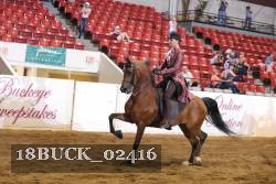 18BUCK_02416 proof