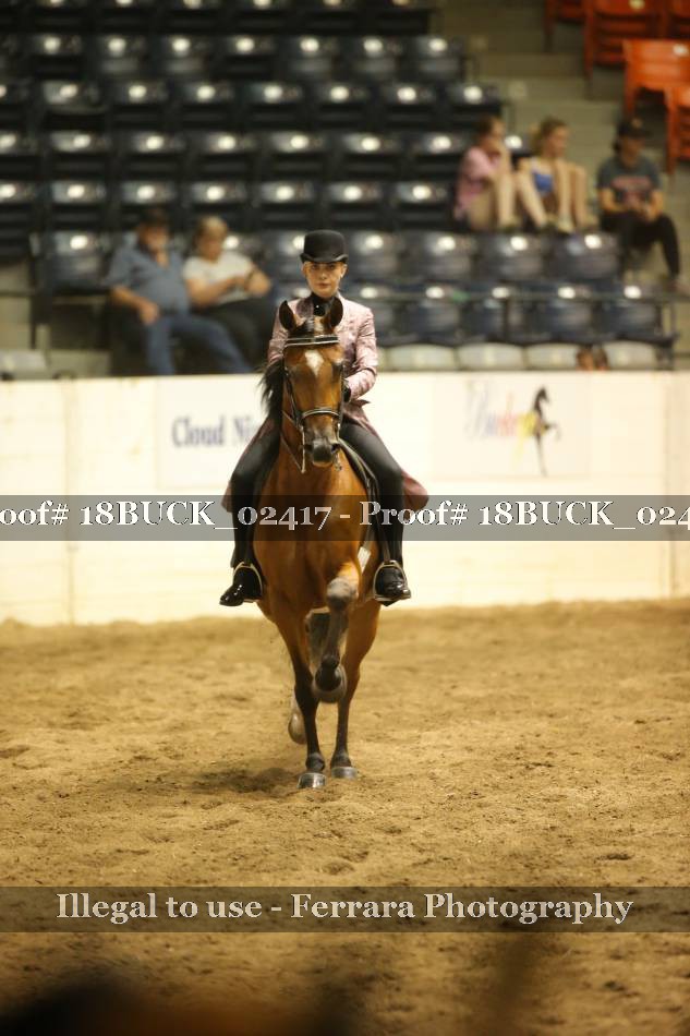 Proof 18BUCK_02417