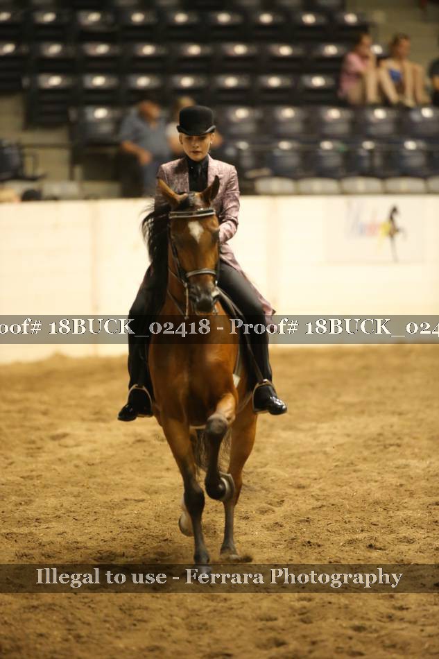 Proof 18BUCK_02418