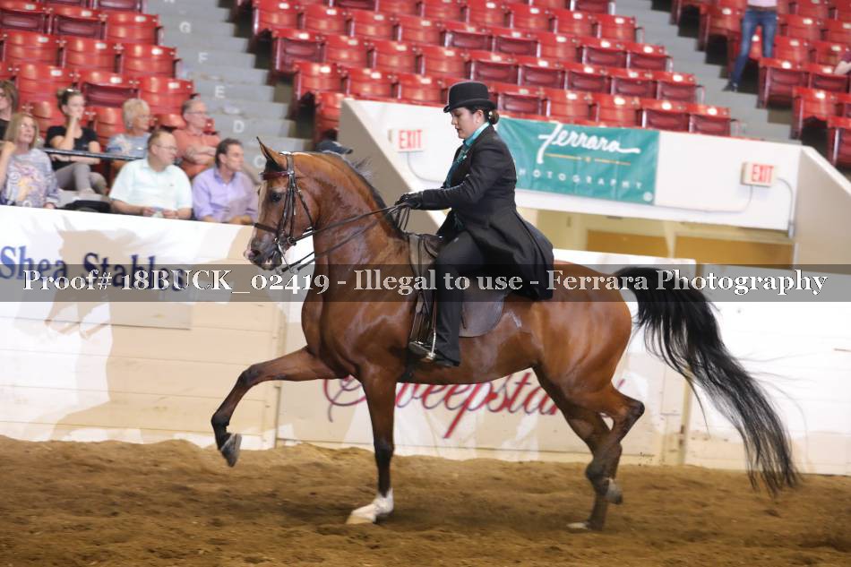 Proof 18BUCK_02419