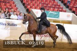 18BUCK_02419 proof