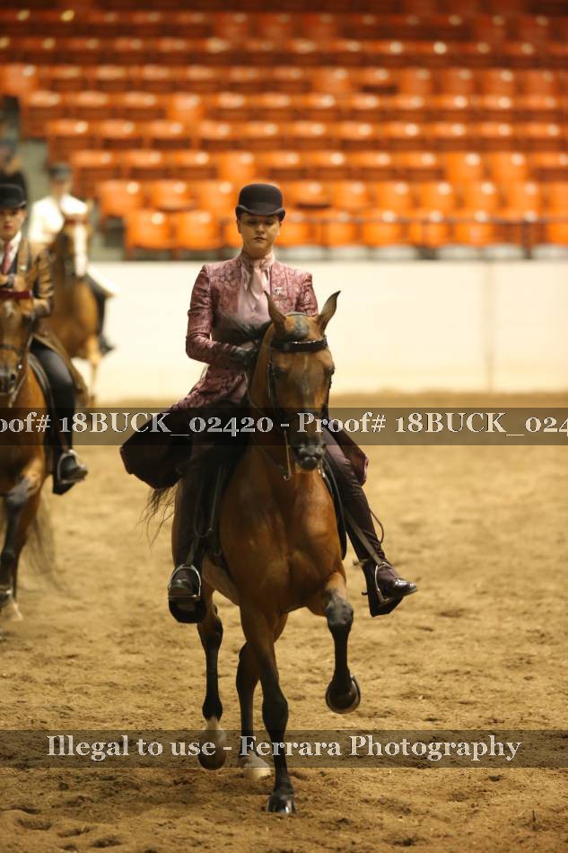 Proof 18BUCK_02420