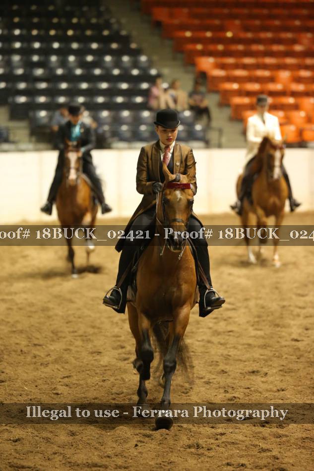 Proof 18BUCK_02421