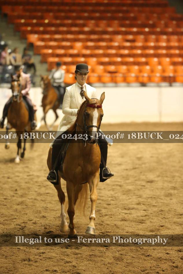 Proof 18BUCK_02423