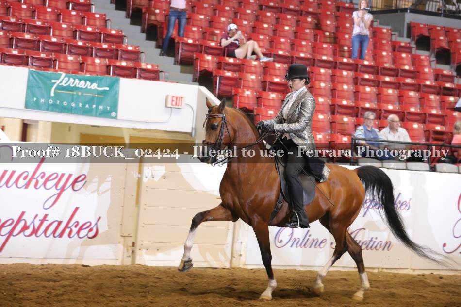 Proof 18BUCK_02424