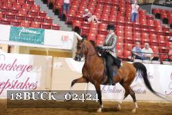 18BUCK_02424 proof