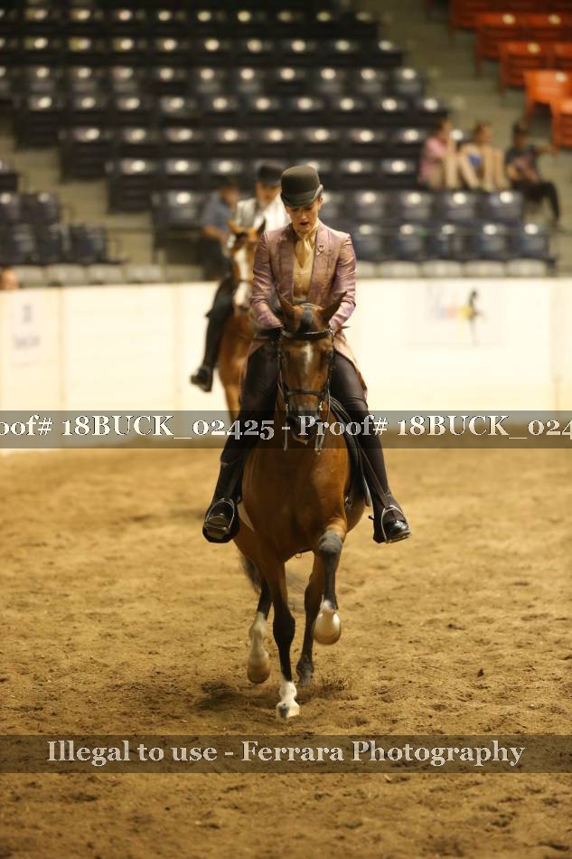 Proof 18BUCK_02425