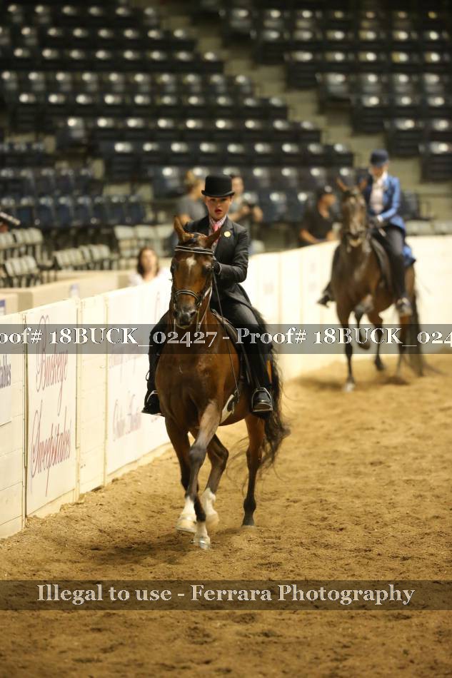 Proof 18BUCK_02427