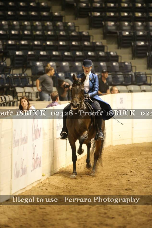 Proof 18BUCK_02428