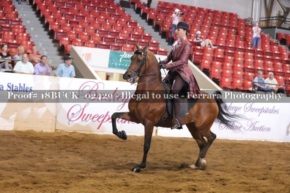 Proof 18BUCK_02429