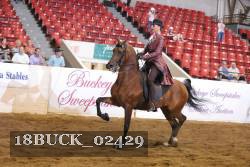 18BUCK_02429 proof