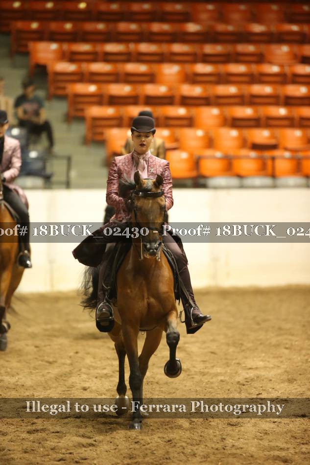 Proof 18BUCK_02430