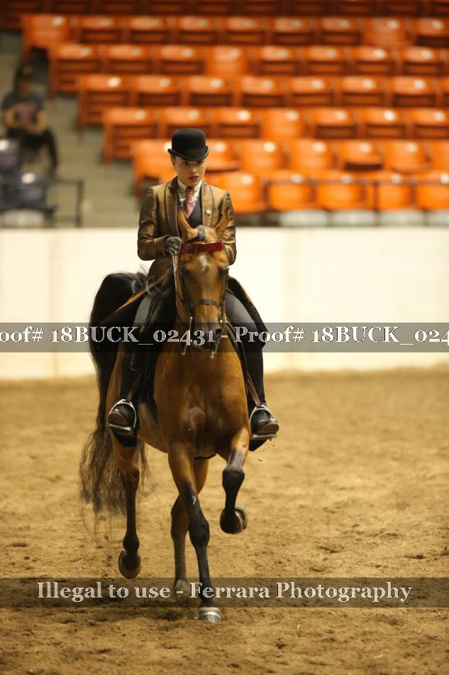 Proof 18BUCK_02431