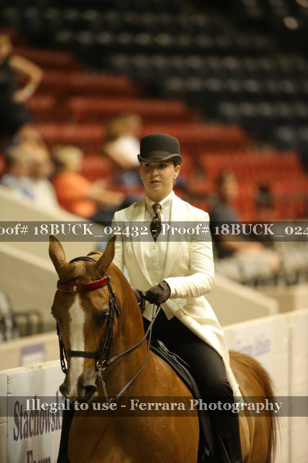 Proof 18BUCK_02432