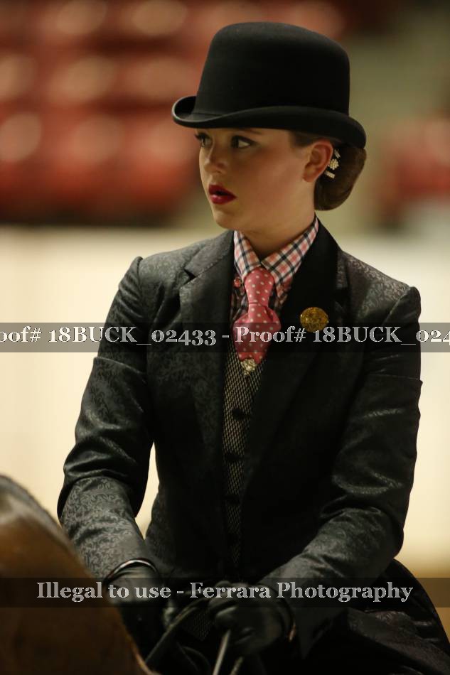 Proof 18BUCK_02433