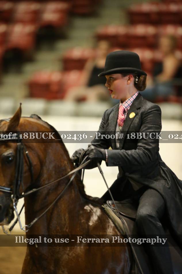 Proof 18BUCK_02436