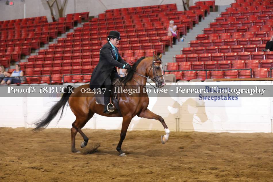 Proof 18BUCK_02437
