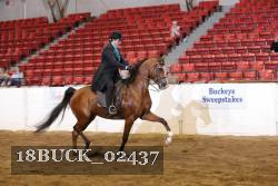 18BUCK_02437 proof