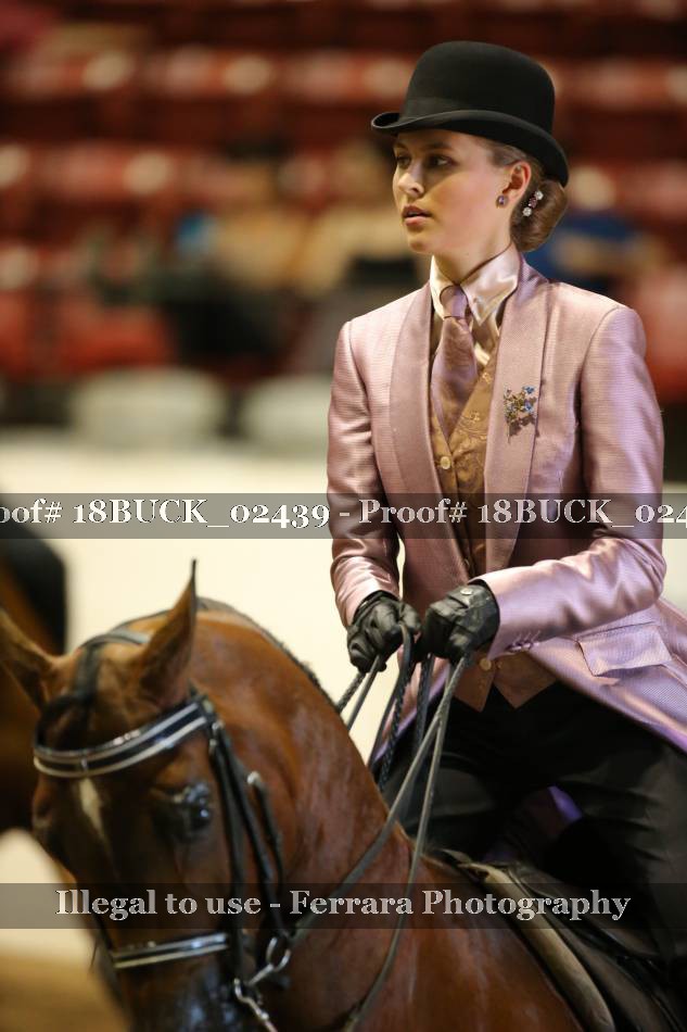 Proof 18BUCK_02439