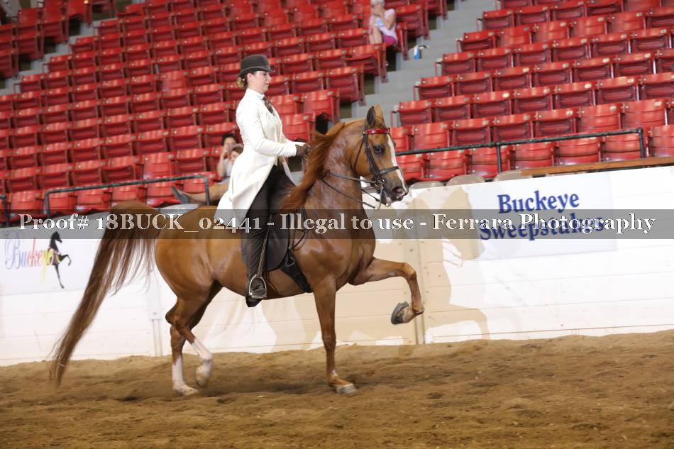 Proof 18BUCK_02441