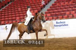 18BUCK_02441 proof