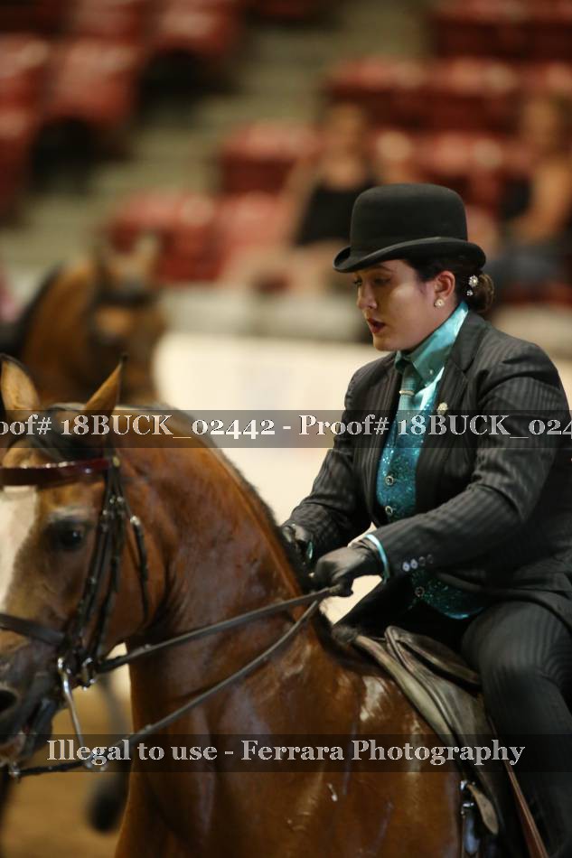 Proof 18BUCK_02442