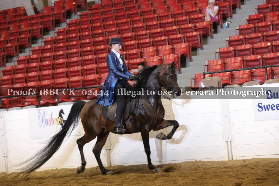 Proof 18BUCK_02444