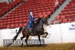 18BUCK_02444 proof