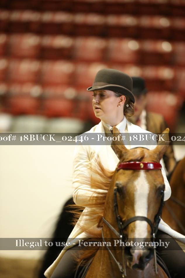 Proof 18BUCK_02446